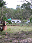  - Newnes Afforestation Camp